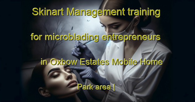Skinart Management training for microblading entrepreneurs in Oxbow Estates Mobile Home Park area | MicrobladingTraining | MicrobladingClasses | SkinartTraining-United States